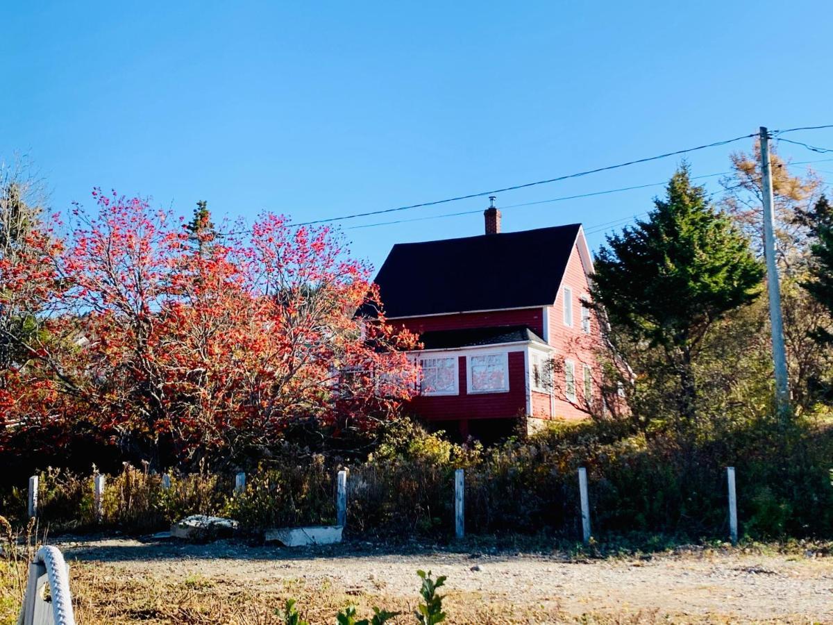 Alma Shore Lane Suites & Cottages Dış mekan fotoğraf